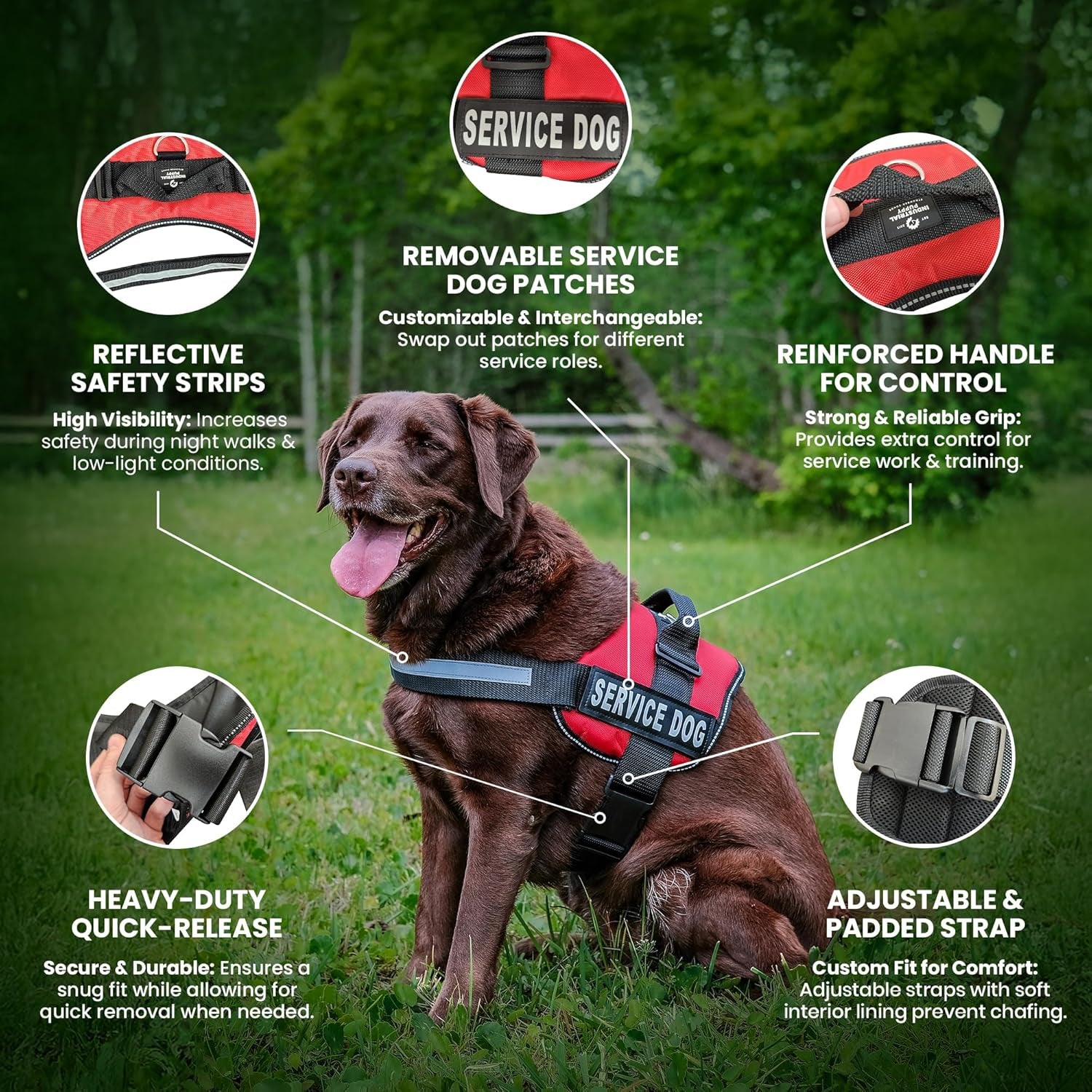 Service Dog in Training Vest Harness - Durable & Adjustable Dog Vest with Reflective Straps, Removable Patches, Handle & D-Ring, Travel and Daily Use, Small 19.5"-25", Bright Red
