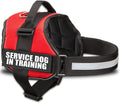 Service Dog in Training Vest Harness - Durable & Adjustable Dog Vest with Reflective Straps, Removable Patches, Handle & D-Ring, Travel and Daily Use, Small 19.5"-25", Bright Red